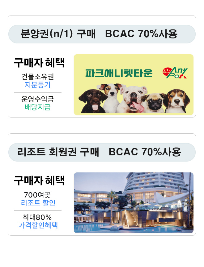 펫타운,탐라